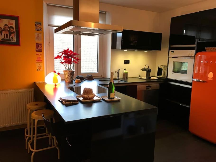 Apartamento * La Petite Alsacienne * Ammerschwihr